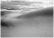 Sensuous dune forms. Death Valley National Park, California, USA. (black and white)