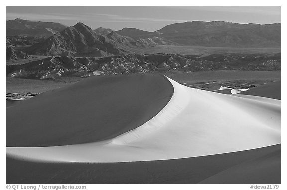 Mesquite Sand dunes and Amargosa Range, early morning. Death Valley National Park (black and white)
