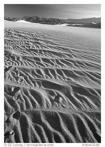 Ripples on Mesquite Sand Dunes, early morning. Death Valley National Park (black and white)