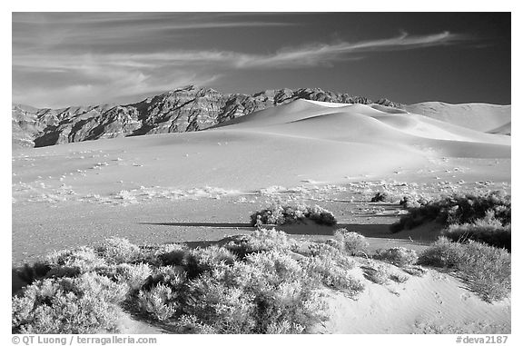 Eureka sand dunes, late afternoon. Death Valley National Park (black and white)