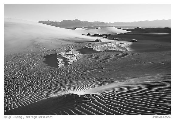 Depression in dunes with sand ripples, Mesquite Sand Dunes, early morning. Death Valley National Park (black and white)