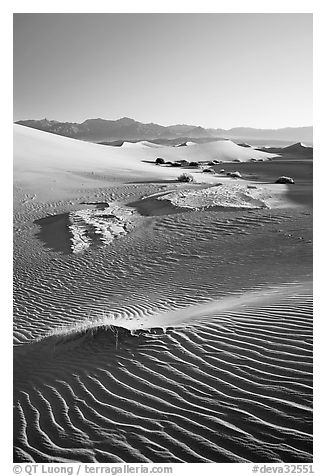 Depression in dunes with sand ripples, Mesquite Sand Dunes, early morning. Death Valley National Park (black and white)