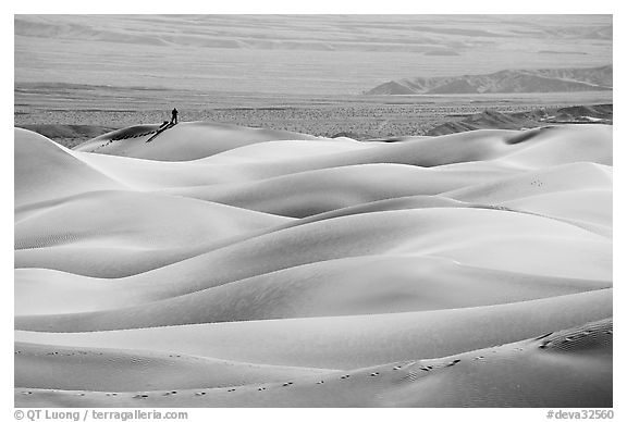 Dune ridges with photographer in the distance, Mesquite Sand Dunes, morning. Death Valley National Park (black and white)
