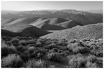 Tucki Mountains from Aguereberry point, late afternoon. Death Valley National Park, California, USA. (black and white)