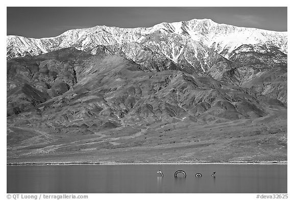 Telescope Peak, rare Manly Lake with dragon. Death Valley National Park, California, USA.
