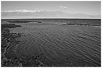 Flooded Badwater basin, early morning. Death Valley National Park, California, USA. (black and white)