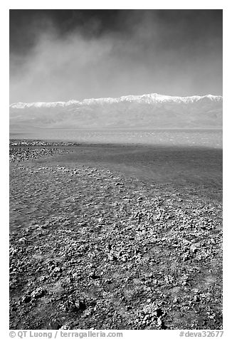 Salt formations on shore of Death Valley Lake, morning. Death Valley National Park (black and white)