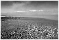 Salt formations on the shore of Manly Lake, morning. Death Valley National Park, California, USA. (black and white)