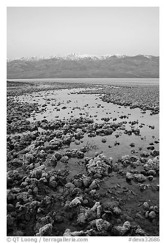 Recently emerged salt pools, Badwater, dawn. Death Valley National Park (black and white)
