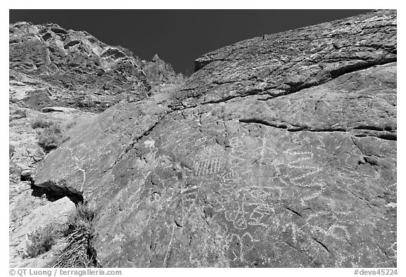 Petroglyphs, Klare Spring, Titus Canyon. Death Valley National Park (black and white)