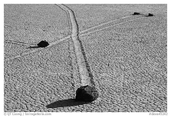 Intersecting travel grooves of sliding stones, the Racetrack. Death Valley National Park (black and white)
