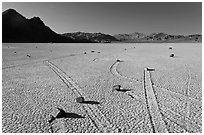 Sailing rocks, the Racetrack playa. Death Valley National Park, California, USA. (black and white)
