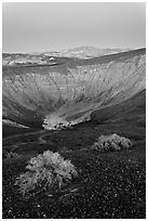 Sagebrush and Ubehebe Crater at dusk. Death Valley National Park, California, USA. (black and white)