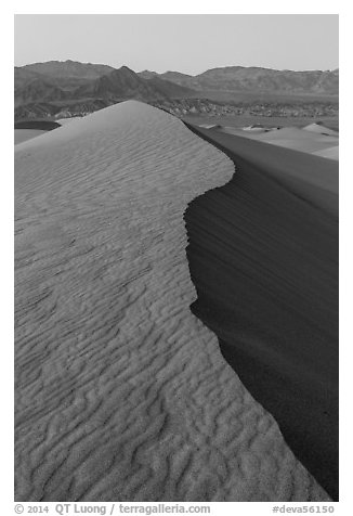 Dune ridge and Amargosa Range at dusk. Death Valley National Park (black and white)