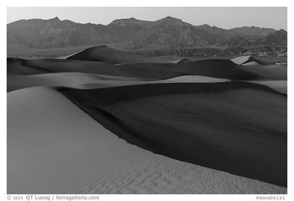 Mesquite Sand dunes and Amargosa Range at dusk. Death Valley National Park (black and white)