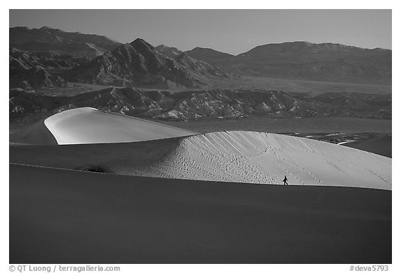 Hiker on ridge, Mesquite Dunes, sunrise. Death Valley National Park (black and white)