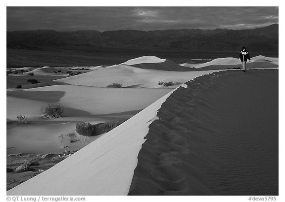 Hiker on a ridge in the Mesquite Dunes, sunrise. Death Valley National Park (black and white)