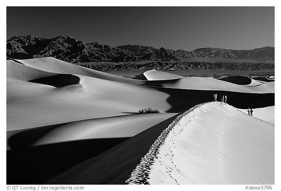 Dune field with hikers, Mesquite Dunes. Death Valley National Park (black and white)