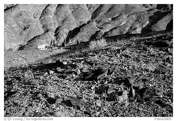 Backcountry camping. Death Valley National Park (black and white)