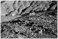 Backcountry camping. Death Valley National Park, California, USA. (black and white)