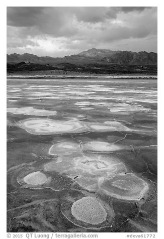 Salt evaporation patterns and Funeral Mountains at sunset, Cottonball Basin. Death Valley National Park (black and white)