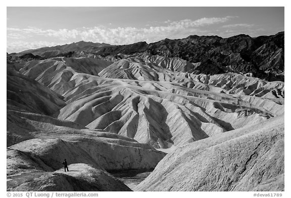 Visitor looking, Zabriskie Point. Death Valley National Park (black and white)