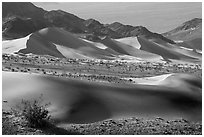 Shrubs, Ibex sand dunes, and mountains. Death Valley National Park ( black and white)