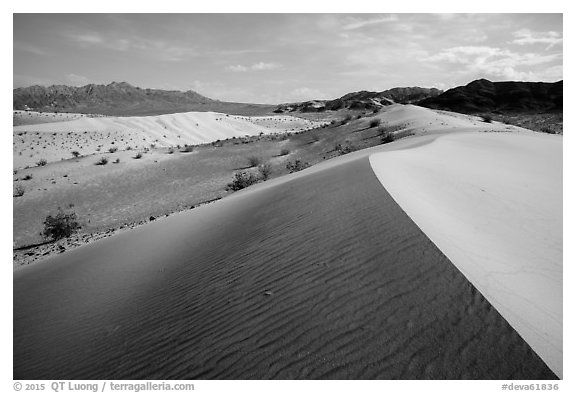 Ibex Dunes and Ibex Hills. Death Valley National Park (black and white)