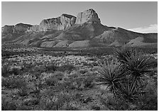 El Capitan from Williams Ranch road, sunset. Guadalupe Mountains National Park, Texas, USA. (black and white)