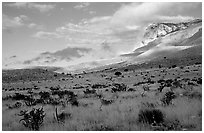 Flats and El Capitan, early morning. Guadalupe Mountains National Park, Texas, USA. (black and white)