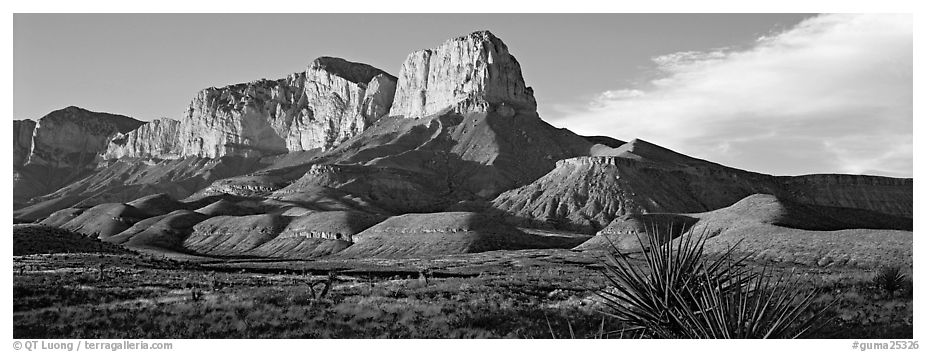 El Capitan cliffs in late afternoon. Guadalupe Mountains National Park (black and white)