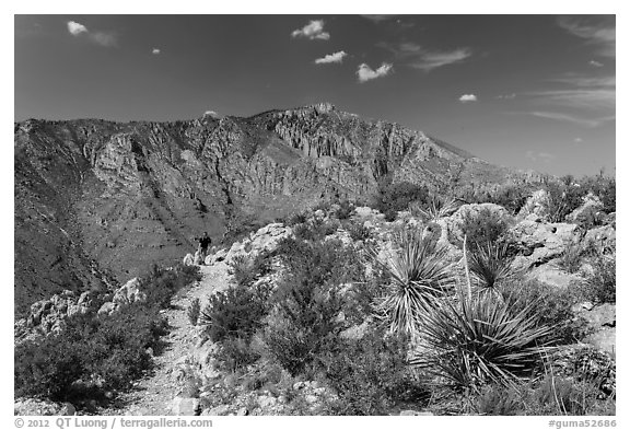 Hiker on trail above Pine Spring Canyon. Guadalupe Mountains National Park (black and white)