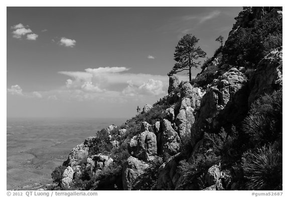 Slopes with trees and rocks high above plain. Guadalupe Mountains National Park (black and white)