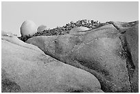 Rocks at dusk, Jumbo Rocks. Joshua Tree National Park, California, USA. (black and white)