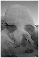 Skull rock at dusk. Joshua Tree National Park, California, USA. (black and white)