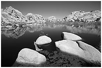 Barker Dam reservoir, mid-day. Joshua Tree National Park, California, USA. (black and white)