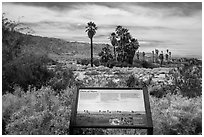 Interpretive sign, Oasis de Mara. Joshua Tree National Park ( black and white)