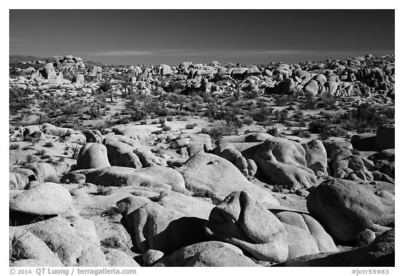 Landscape of rocks, White Tank. Joshua Tree National Park (black and white)