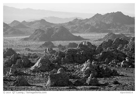 Wonderland of rocks. Joshua Tree National Park (black and white)