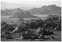Wonderland of rocks. Joshua Tree National Park ( black and white)