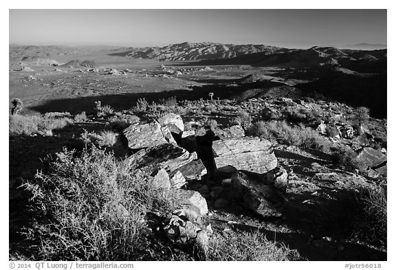Pleasant Valley from Ryan Mountain. Joshua Tree National Park (black and white)