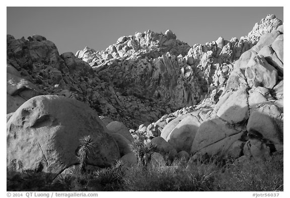 Towering rock formations, Indian Cove. Joshua Tree National Park (black and white)
