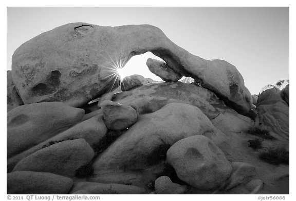 Boulders, Arch Rock, and sun. Joshua Tree National Park (black and white)