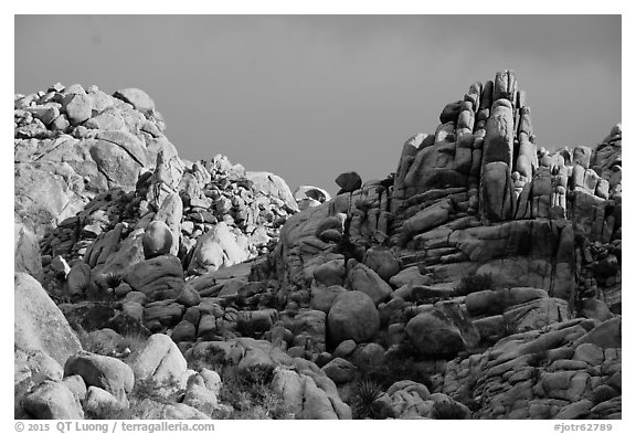 Wonderland of Rocks. Joshua Tree National Park (black and white)
