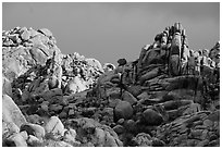 Wonderland of Rocks. Joshua Tree National Park ( black and white)