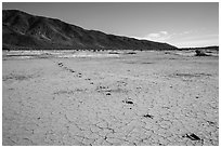 Playa with animal track, Pleasant Valley. Joshua Tree National Park ( black and white)