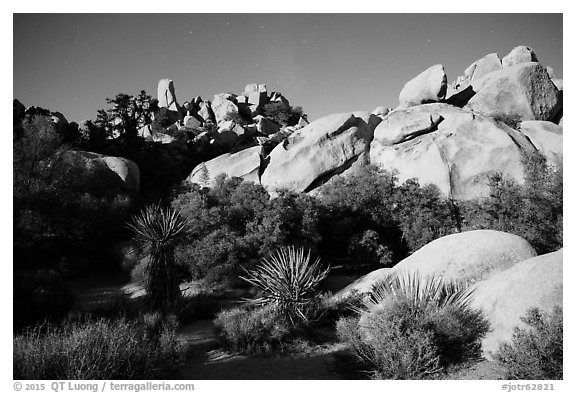 Hidden Valley at night. Joshua Tree National Park (black and white)