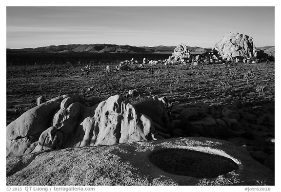 View from top of rock over Joshua Tree plain. Joshua Tree National Park (black and white)