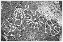 Hohokam petroglyphs. Saguaro National Park, Arizona, USA. (black and white)