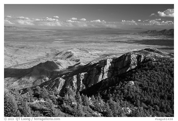Wrong Mountain from Rincon Peak. Saguaro National Park (black and white)